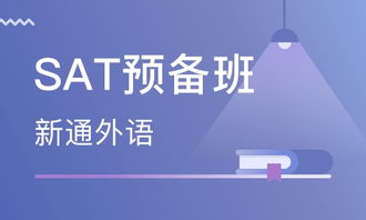 專業賦能，品質領航——溫州新通外語學校獲大眾網推薦品牌認證，攜手溫州網絡技術服務打造智慧教育新生態